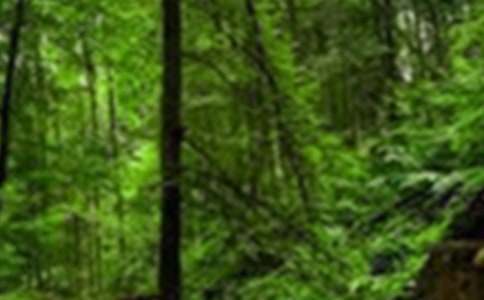 ɭ�ֱ�����г���14ƪ