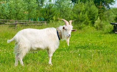 ɽ�򲻳����òݶ����ʵ��15ƪ