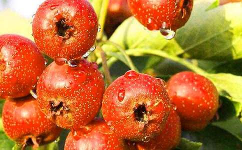 ɽ���֮���ۺ��