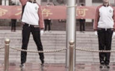 �������ݽ���14ƪ