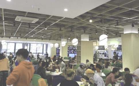 ʳ�õ��鱨��