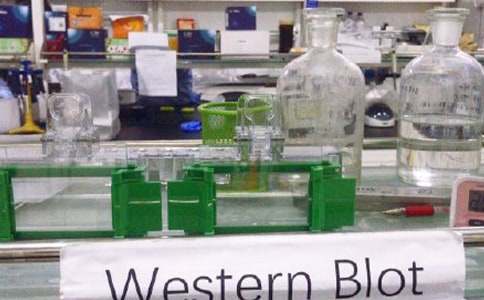 Сѧʵ���ҹ����ܽ�(15ƪ)