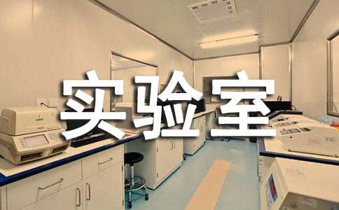 ʵ���ҹ����Ĺ����ƶ�(10ƪ)