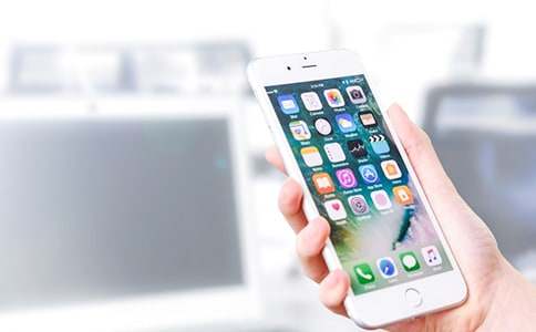 Сѧ���ڼ�ǿѧ���ֻ�������������