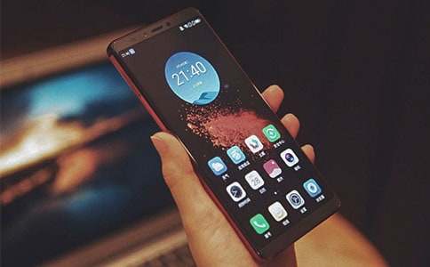 �����ֻ��ı�֤��ģ�����10ƪ