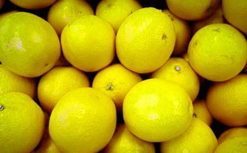 大班语言优秀说课稿《水果锁》