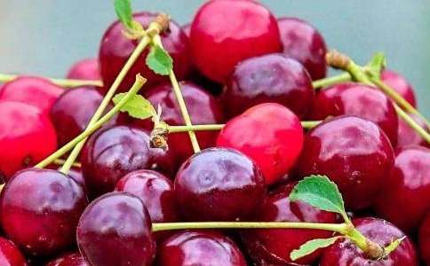 ������ˮ�����̰�����ѧ��˼