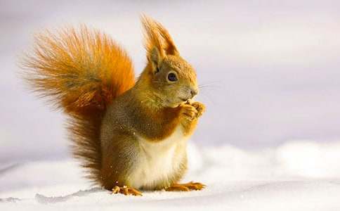 ��������ɹ�����ѧ��˼ 15ƪ