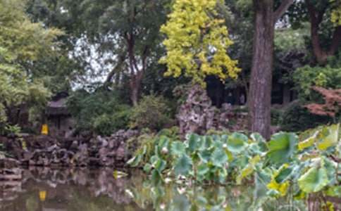 ����԰�ֵ���԰���δ�