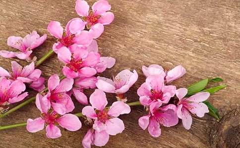 ���һ���ľ������С����š�