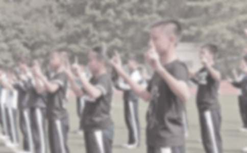 ���꼶������ѧ��˼��ͨ��20ƪ��