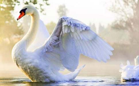 �����ۺ��