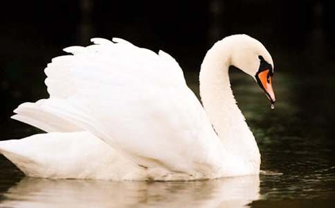 �����Ĺ��¡�˵�θ�15ƪ