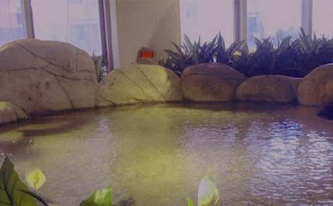 ��Ȫ�����ƶ�