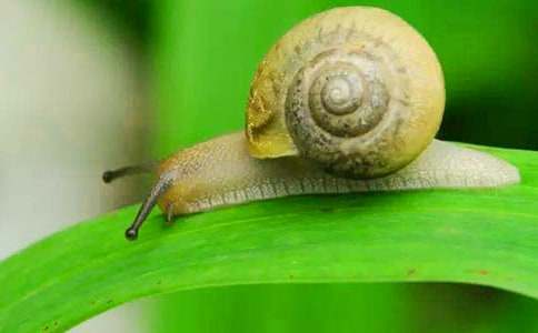 ������ţ�ۺ�м���14ƪ