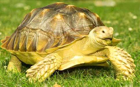 ����С�ڹ�����