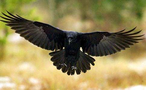 ����ѻ��ˮ��˵�θ�15ƪ