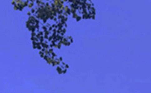 关于暖心午安感言40句精选