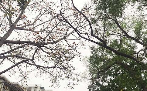 �����簲���Դ�ȫ80�侫ѡ