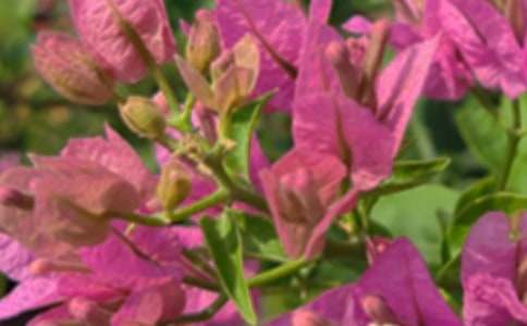 ů���簲���Դ�ȫ����ѡ80�䣩