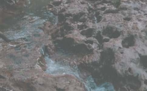 《小溪流的歌》读后感