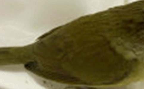 ����С�񡷽�ѧ��˼