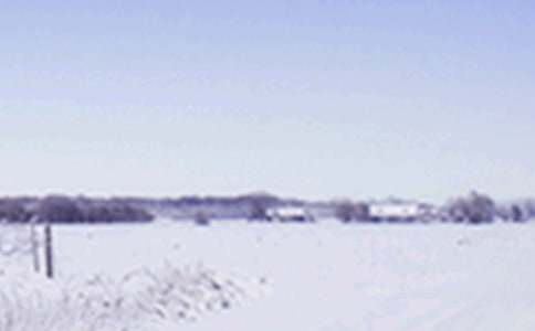 节气小雪优秀演讲稿10篇