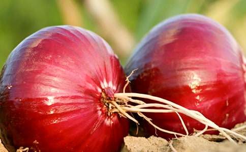 �����ͷ���ռǡ������(���15ƪ)