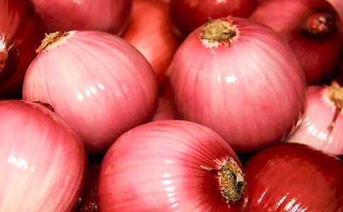 �������ͷ���ռǡ��и�[ʵ��15ƪ]