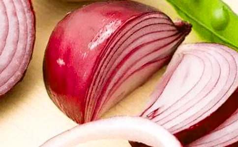 《洋葱头历险记》读后感(15篇)