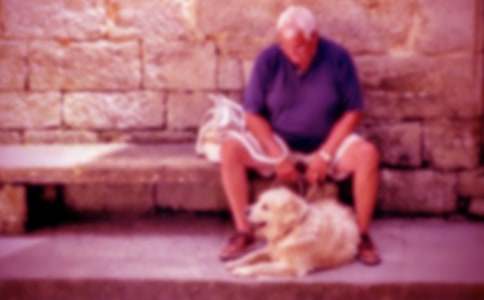 ���ٺ�үү�ۺ�л���(8ƪ)