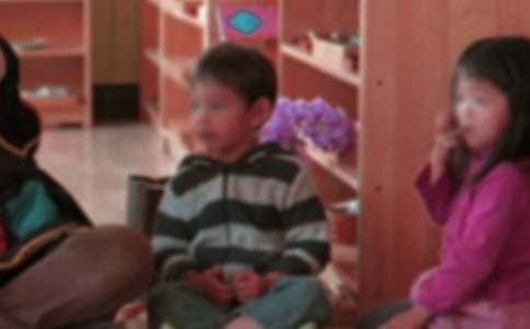 �������׶�԰����ʦ���˹����ƻ�