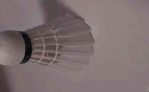 ��ë���ѧ�ƻ������㣩