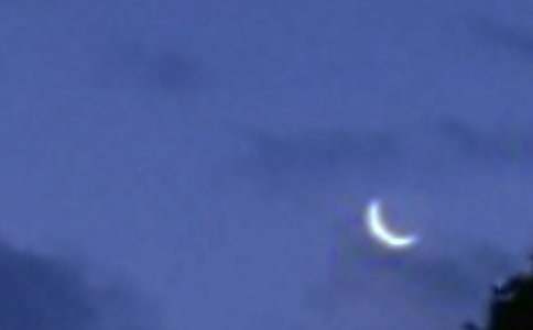 ����������ʿ����кϼ�(15ƪ)