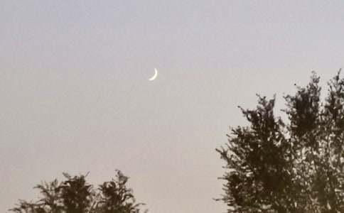 ������������ʿ�������13ƪ