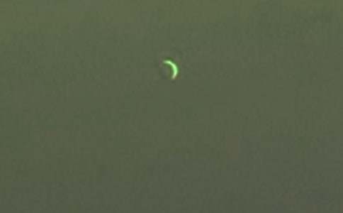 月亮忘记了读后感