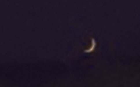 月亮的味道读后感(精选17篇)