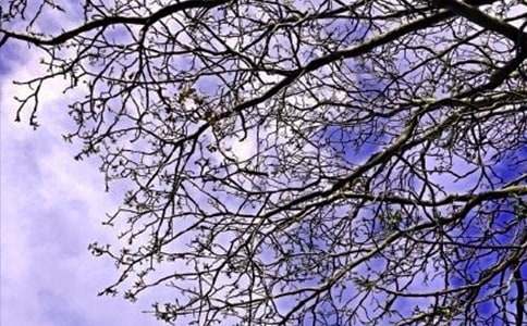 最新励志早安感言40句