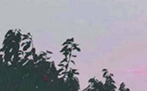 ����簲����180�侫ѡ