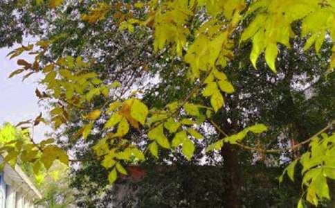 简单朋友圈早安感言160句