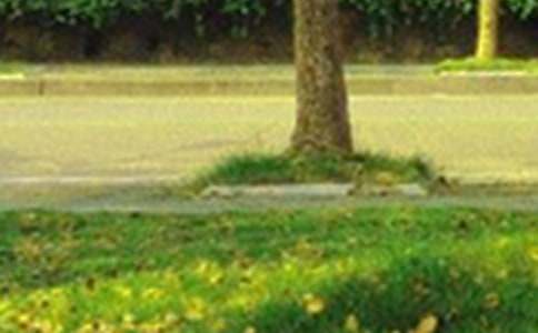 ���Ÿ����簲���Դ�ȫ170�侫ѡ