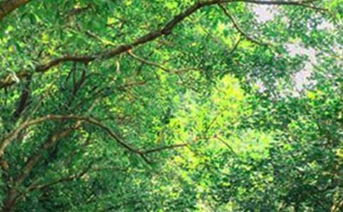 ����Ψ���簲���Ի���195�侫ѡ