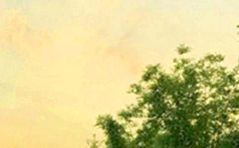 常用治愈早安感言(通用65句)