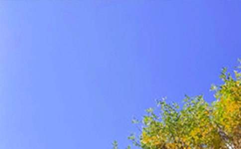 ��̸����簲����75��