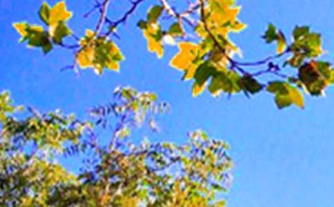 ů���簲���Ի��ܣ���ѡ50�䣩