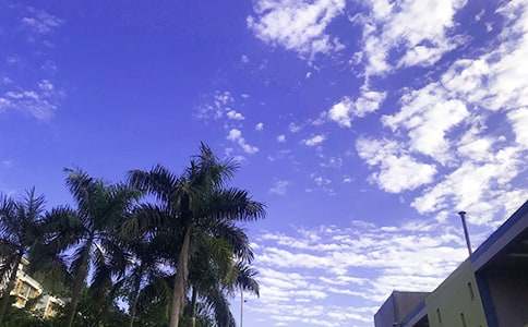 ��ܰ�簲���ԣ���ѡ85�䣩