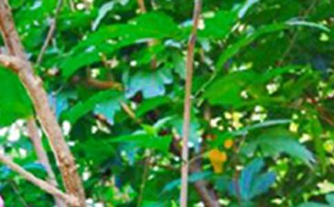 常用励志早安感言(通用115句)