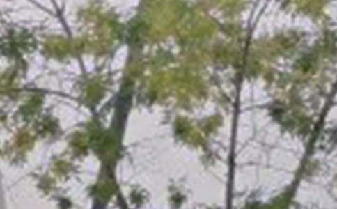 ���ů���簲���ԣ���ѡ155�䣩