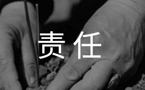 责任保证书 (15篇)