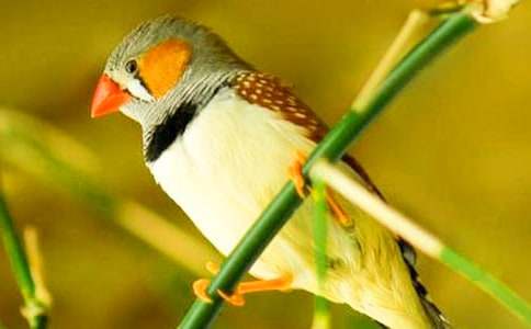 ������Ľ�ѧ��˼���ģ�ͨ��10ƪ��